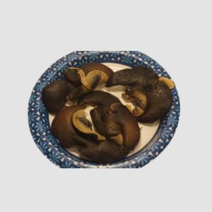 Jumbo Snail