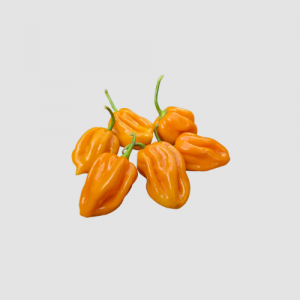 Orange Habanero