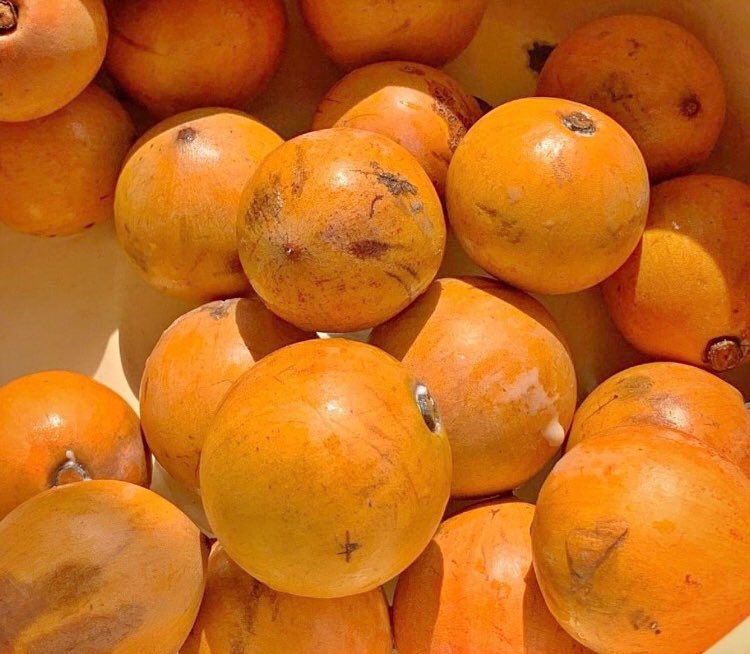 Agbalumo/ udara (Chrysophyllum albidum)